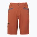 Men's shorts Black Diamond Valley burnt sienna 3