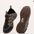 Jack Wolfskin men's trekking boots Woodland 2 Hybrid Low brown 4051301 11