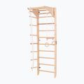 RINAGYM Kombi 2 gymnastic ladder 2
