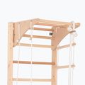 RINAGYM Kombi 2 gymnastic ladder 6