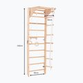 RINAGYM Kombi 2 gymnastic ladder 11