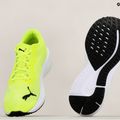 PUMA Aviator Profoam Sky 12 green 376615 16 running shoes 14