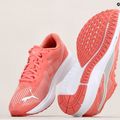 PUMA Aviator Profoam Sky 12 running shoes pink 376615 12 15