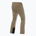 Men's ski trousers Dainese Ariante Dermizax EV kaki 2
