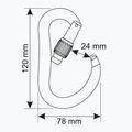 Carabiner CAMP Atom Lock blue 3