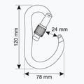 Climbing carabiner CAMP Atom Lock gun metal 3