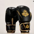 Boxing gloves DBX BUSHIDO natural leather black B-2v13 24