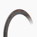 Pirelli P Zero Race TLR Classic black/brown bicycle tyre
