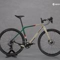 Gravel bike Cipollini AGO O60FI SGRS23 beige-green M0012MC123AGO_DB O60FI 7