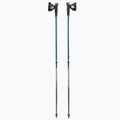 Masters Pole Training Nordic walking poles black 01N0620