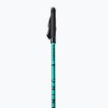 Masters Pole Training Nordic walking poles black 01N0620 2