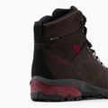 Women's trekking boots SCARPA ZG Pro GTX brown 67070-202 8