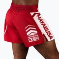 Hayabusa Icon men's training shorts Kickboxing red 2