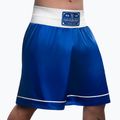 Hayabusa Pro Boxing training shorts blue 2