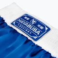 Hayabusa Pro Boxing training shorts blue 5