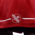 Hayabusa Pro Boxing training shorts red 4