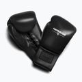 Boxing gloves Hayabusa Pro Traditional Horse Hair Lace-Up black 3