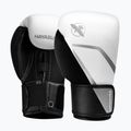 Boxing gloves Hayabusa E1 Boxing white/silver