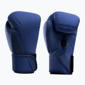 Boxing gloves Hayabusa T360 Boxing blue