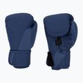 Boxing gloves Hayabusa T360 Boxing blue
