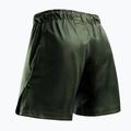 Men's training shorts Hayabusa Apex Fight 3/4 green 2