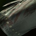 Men's training shorts Hayabusa Apex Fight Mid green 7