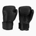 Boxing gloves Hayabusa E1 Leather black