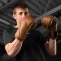 Boxing gloves Hayabusa E1 Leather brown 7