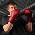 Boxing gloves Hayabusa E1 Leather red 6