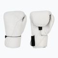 Boxing gloves Hayabusa T360 Leather white