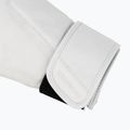 Boxing gloves Hayabusa T360 Leather white 6