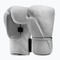 Boxing gloves Hayabusa T360 Leather white