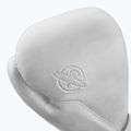 Boxing gloves Hayabusa T360 Leather white 3