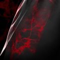 Men's training shorts Hayabusa X UFC BJJ Grappling red 4