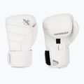Hayabusa T3 Kanpeki arctic white boxing gloves
