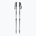 Ski poles Nordica Dobermann Multigara black/red 5