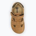 Children's sandals Primigi PWN 79073 dark tan 5