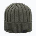 Men's winter hat CMP 5505605 Knitted forest
