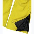 Men's ski trousers CMP 3W17397N gold green 5