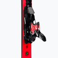 Nordica DOBERMANN SPITFIRE 72 RB + XCELL 12 FDT downhill skis black 0A1240LB 001 7