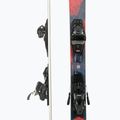 Nordica men's downhill ski NAVIGATOR 85 + TP2LT11 FDT blue/red 0A1286OB001 5