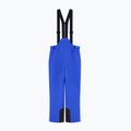Men's ski trousers EA7 Emporio Armani Pure Protectum 7 new royal 7