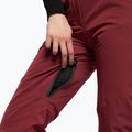 Women's ski trousers Dainese Hp Scree jam violet 6
