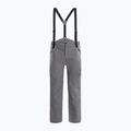 Men's ski trousers Dainese Hp Ridge castle rock