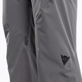 Men's ski trousers Dainese Hp Ridge castle rock 3