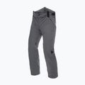 Men's ski trousers Dainese Hp Ridge castle rock 4