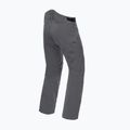 Men's ski trousers Dainese Hp Ridge castle rock 5