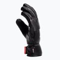 Ski gloves Dainese Leather stretch limo 5
