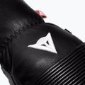 Ski gloves Dainese Leather stretch limo 8