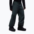 Men's ski trousers Oakley Baldface Pro Gore-Tex graphite 4
